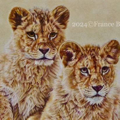 Lion Cubs Postcard - 37 hours
White drawing paper
6" x 8.5"
Ref: Anne Noël Lion Cubs Postcard - 37 hours
White drawing paper
6" x 8.5"
Ref: Anne Noël